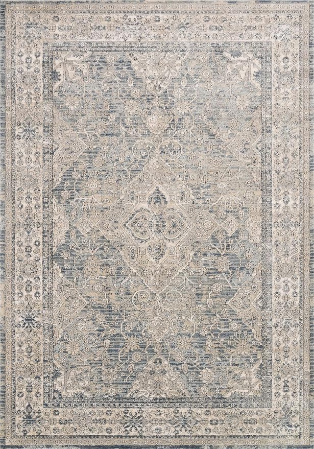 Loloi Teagan Collection TEA-04 Sky/Natural 7'-11" x 10'-6" Area Rug, Large, Soft Neutral Rug, High-Traffic for Living Room, Bedroom, Home Office, Dining Area