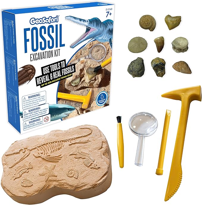 Educational Insights GeoSafari Fossil Excavation Kit, Kids Science Kit, Dinosaur Science Toy, Ages 7+