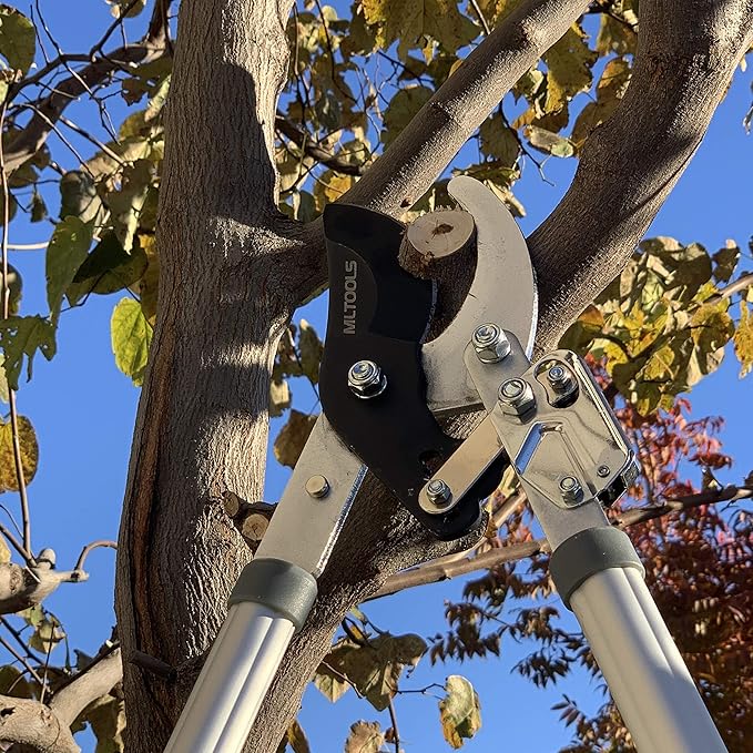 MLTOOLS Ratcheting Extendable Bypass Lopper for Gardening - Heavy Duty Ratchet Lopper 39½" Extendable Long Handle – Chops Through 1-3/4” thick Branches – Ideal for All Gardening Enthusiasts - L8230