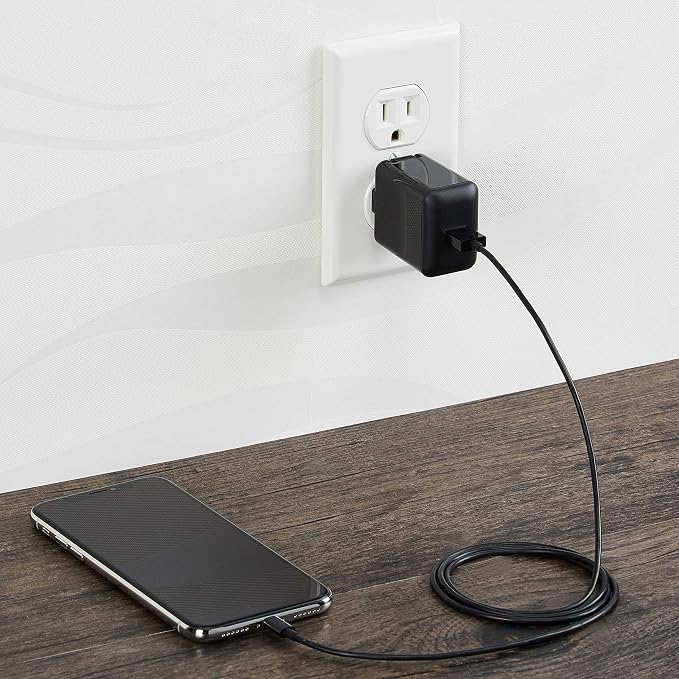 Amazon Basics 24W Two-Port USB-A Wall Charger for Multiple Devices Space-Saving Design 12W 2.4A per Port for iPhone 16/15/14/13/12/11/X Samsung and More Black