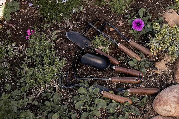 Barebones Dandelion Weeding Fork - Gardening Hand Tools - Japanese Hand Weeder, Weed Puller, and Weed Remover Tool (Walnut/Black)