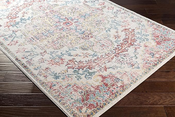 Livabliss Area Rugs - 5x7 Odelia Vintage Boho Red Off-White Blue Area Rug for Living Room Bedroom - Floral Medallion Stain Resistant Carpet for Kitchen, Nursery, Office (5'3" x 7'3")