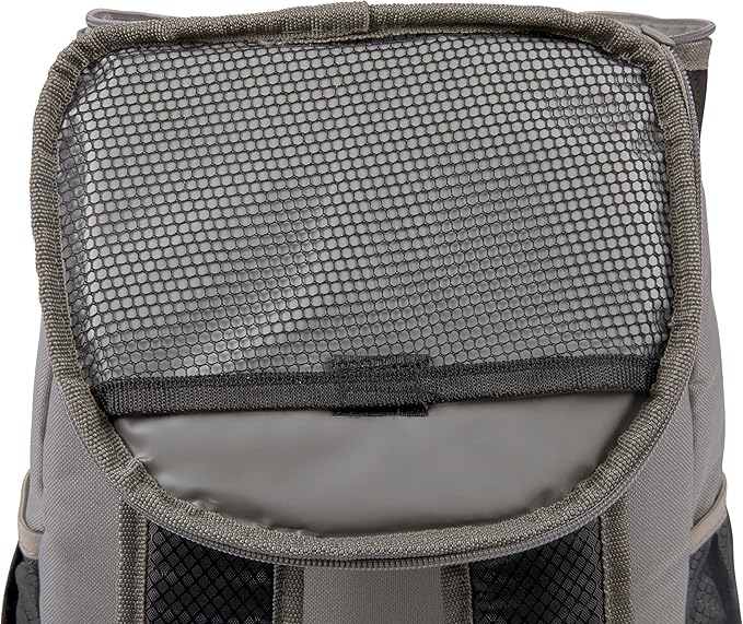 PICNIC TIME Disney Pixar Cars Lightning McQueen PTX Backpack Cooler, Soft Cooler Backpack, Insulated Lunch Bag, (Black with Gray Accents)