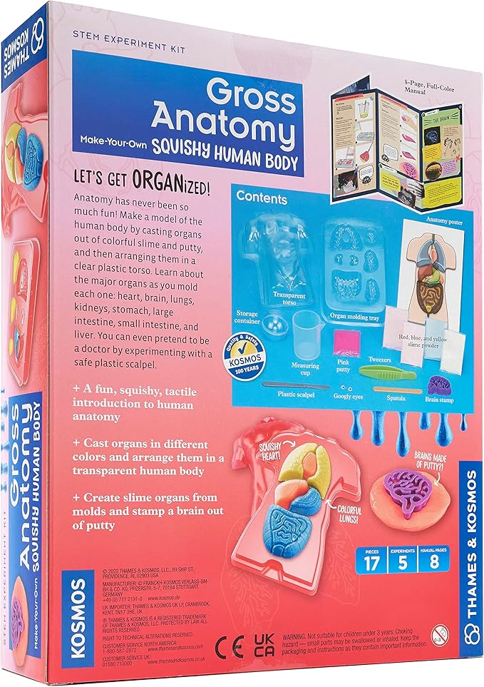 Thames & Kosmos Gross Anatomy: Make-Your-Own Squishy Human Body STEM Experiment Kit | Make Colorful Models of Human Organs with Slime & Putty | Fun, Tactile Intro to Human Anatomy | 5 Cool Activities