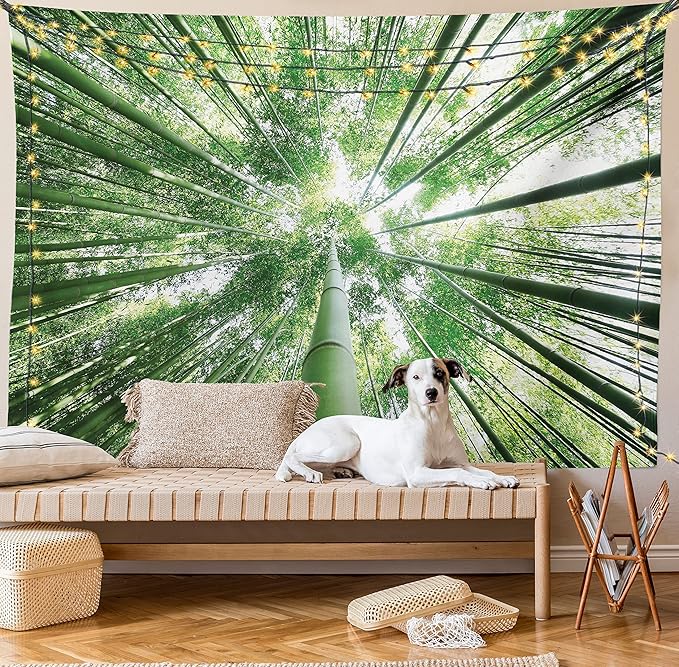 Ambesonne Forest Tapestry King Size, Tropical Rain Forest Tall Trees in Exotic Style Nature Theme Image Sky from Woodland, Wall Hanging Bedspread Bed Cover Wall Decor, 23" X 28", Green