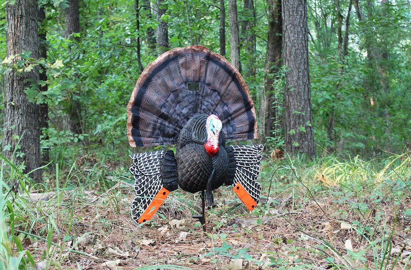 MOJO Scoot-N-Shoot MAX Tom Turkey Hunting Decoy with Realistic Fan