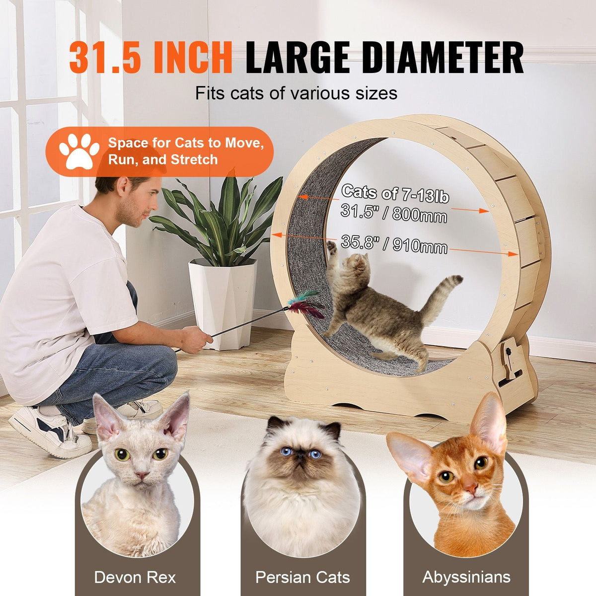 Cat Exercise Wheel, Large Cat Treadmill Wheel for Indoor Cats, 35.8 inch Cat Running Wheel with Detachable Carpet and Cat Teaser for Running/Walking/Training, Suitable for Most Cats