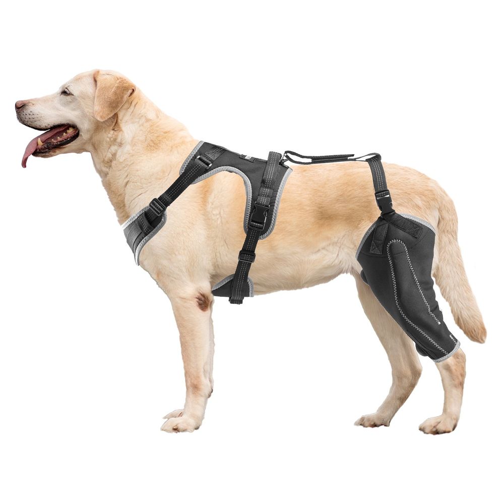 Dog Knee Brace for Left Leg Adjustable ACL Dog Leg Support Brace Pain Relief