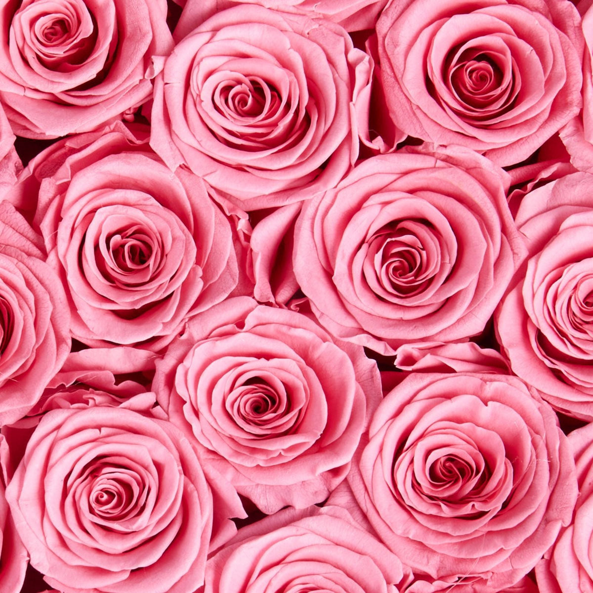 Forever Flowers, 27 Preserved Roses in a Heart Shape Box, Eternal Flowers Immortal Bouquet Birthday Present for Women Her Wife Mothers, Anniversary, Valentine's Day,Christmas, Pink