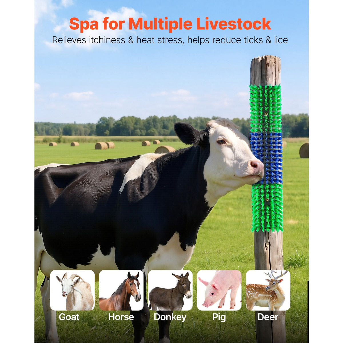 Livestock Scratching Brush, 4PCS Goat Scratcher Brush Post with 16 Screws, 16.9" x 3.9" Cow Scratcher for Back Itch Relief, Massage Grooming Scratch Tool for Horse Cattle Sheep Pig, Green & Blue