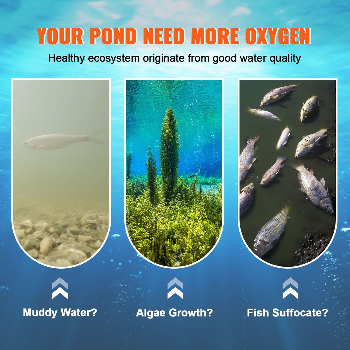 Pond Aerator, 550W Power, 5.2CFM for Up to 1 Acre 50' Lake, Pond Aeration Kit Includes 3/4 HP Compressor & 100' Weighted Tubing & Diffuser, Air Compressor for Deep Water Oxygen Circulation