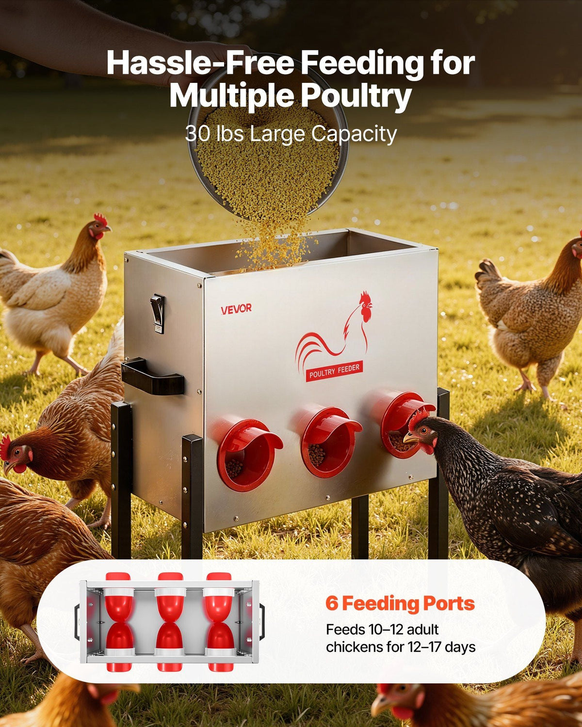 Automatic Chicken Feeder, 30 lbs Capacity, 6 Feeding Ports No-Waste Poultry Feeder, Automatic Gravity, with Adjustable Height & Locking Lid, Metal Construction, for Chickens Bantams Pheasants