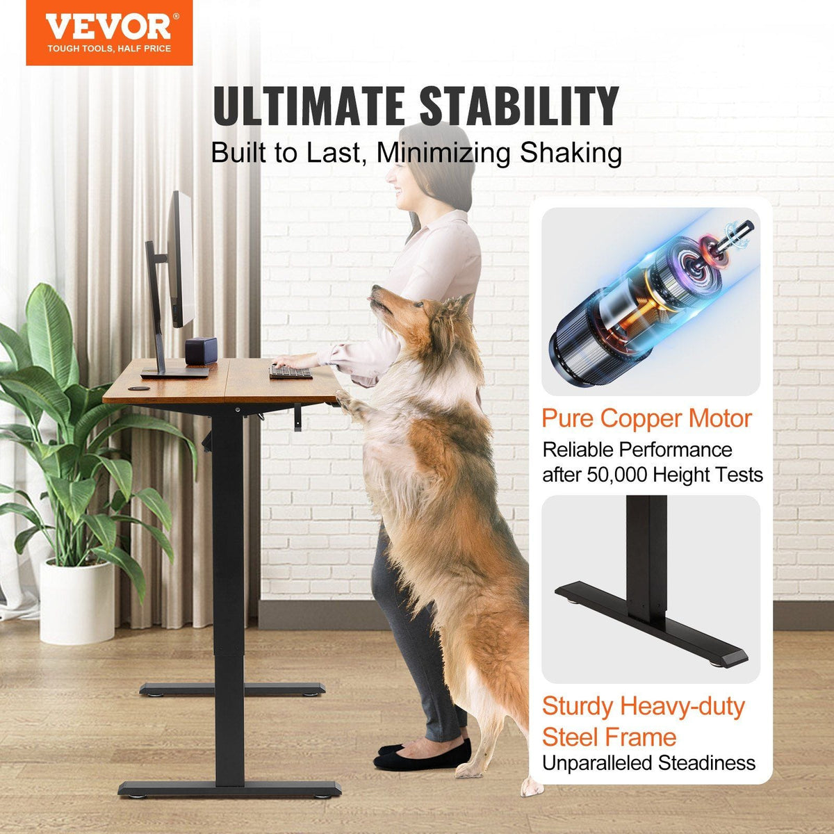 Height Adjustable Desk, 55.1 x 27.6 in, 3-Key Modes Electric Standing Desk,Whole Piece Desk Board, Sturdy Dual Metal Frame, Max. Bearing 180 LBS Computer Sit Stand up Desk, for Home and Office